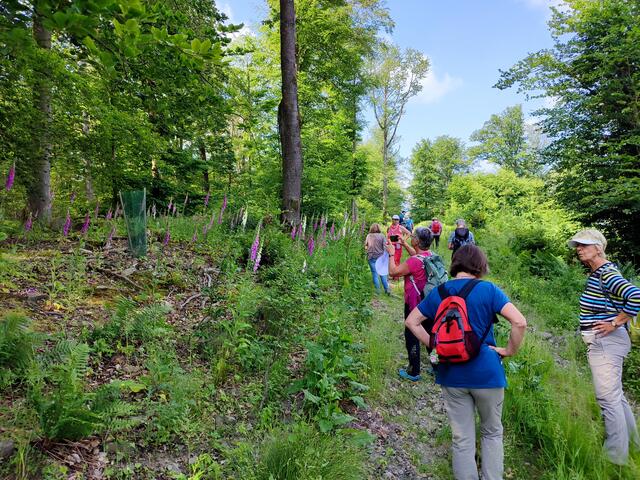 Dieser Weg ist auf der Karte eingezeichnet, wir konnten ihn bisher nie gehen, weil es immer zu matschig war... | Foto: Aurelia Kling