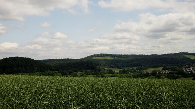 Oberhalb von Heinriet ein Blick zurück. Die Teilnehmer konnten es kaum glauben, wie weit sie inzwischen gewandert waren.