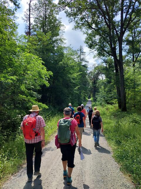 Eine bunte Schar bewegt sich auf Oberheinriet zu | Foto: Aurelia Kling