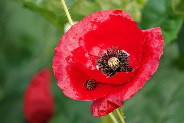 Uuupsi, verflogen ;-)