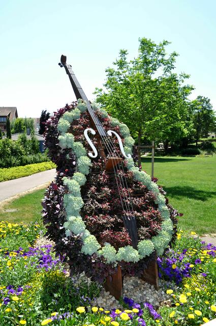 Im Rathauspark | Foto: Daniela Somers