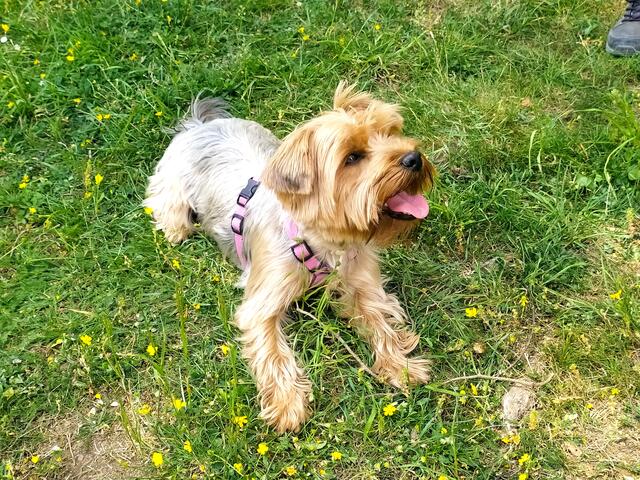 Die kleine Lilly hat auch geschwitzt.... 