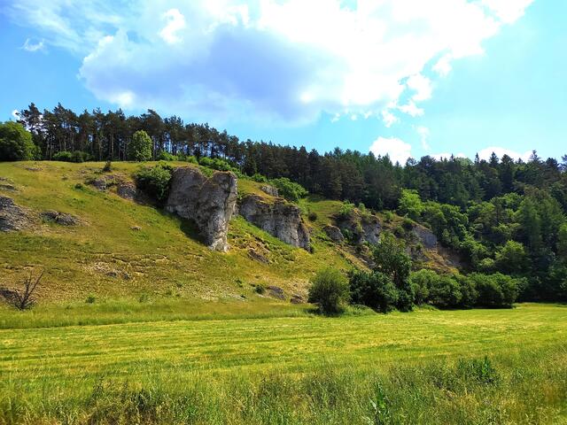 Die Wiesen sind gemäht - im Frühling sind hier seltene Pflanzen, auch wilde Orchideen zu entdecken