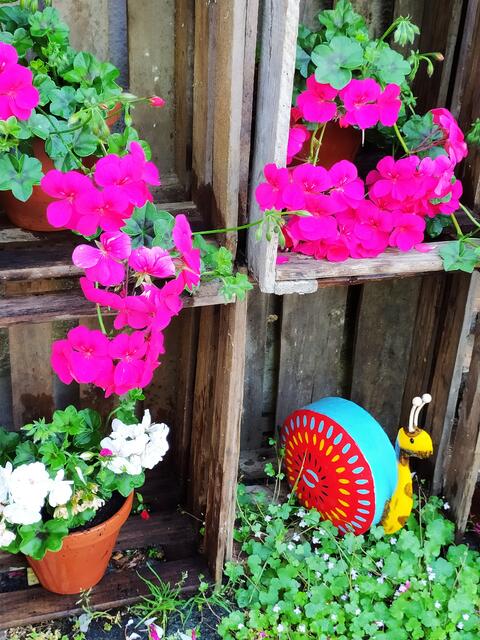 So hübsche Schneckle und viele andere schöne Dinge gibt's im Klosterladen