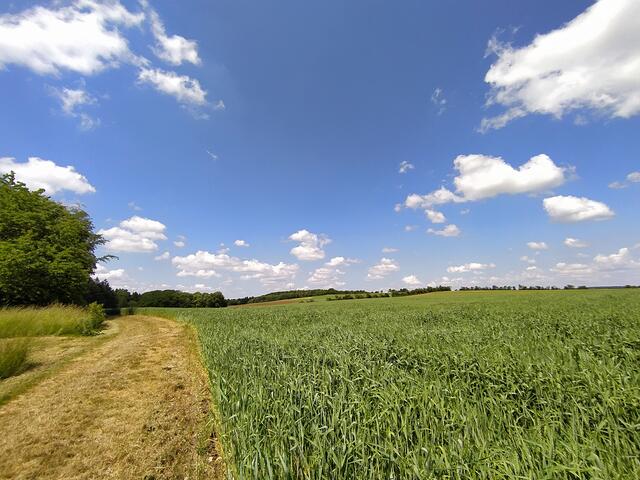 Auf der Hochebene des Härtsfelds ist die Weite gut zu sehen