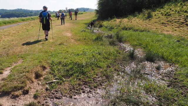 Auf dem Weg.....  | Foto: Rainer Göser