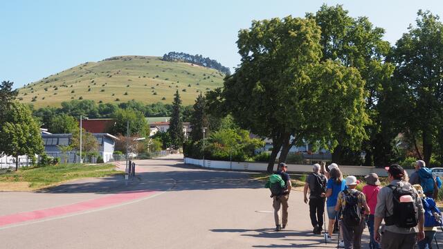 Von Bopfingen geht's zum Ipf - im Hintergrund gut zu sehen.  | Foto: Rainer Göser