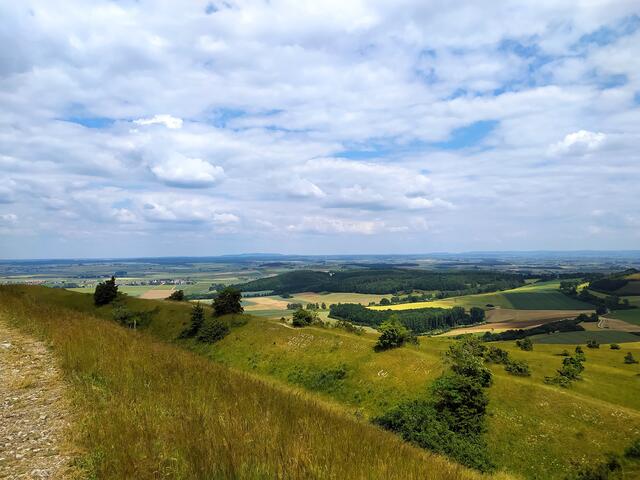 Ganz oben auf der Hochfläche des Ipf - von hier kann man sehr gut die alten Wallgräben sehen