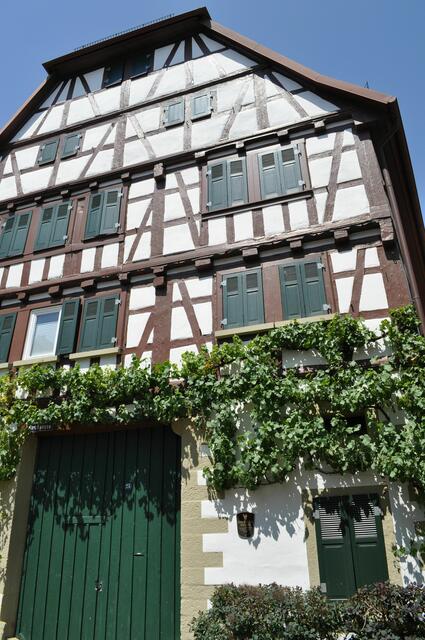 Leiningen´sches Schlössle. Fachwerkhaus aus dem 16. Jhr. mit Durchfahrt im Erdgeschoss. Gehörte im 19. Jhr. den Herren von Leiningen. | Foto: Daniela Somers