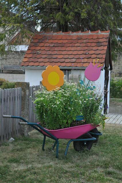 Im ehemaligen Gartenschaugelände | Foto: Daniela Somers
