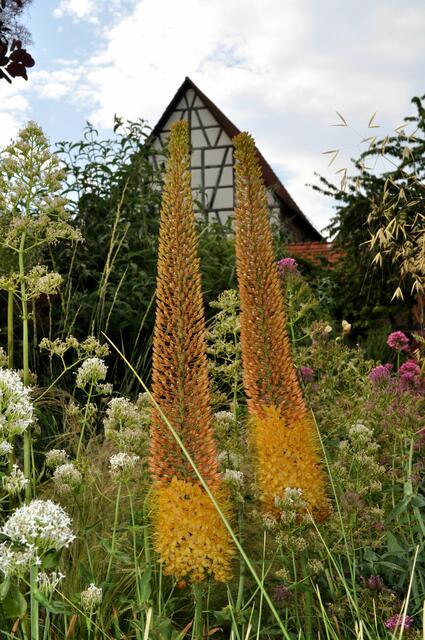 Im ehemaligen Gartenschaugelände | Foto: Daniela Somers