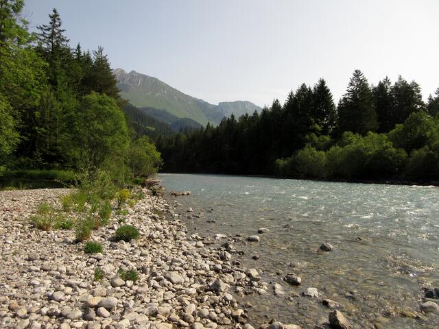 Hier rauscht es weniger, der wilde Fluss ist stellenweise ganz gemütlich, dafür kommt man nah heran