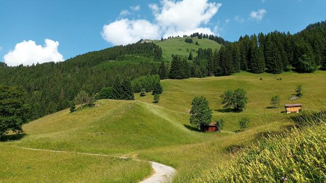 Nach Seesumpf geht es auf der anderen Seite wieder hinunter. Also auch wer in korrekter Richtung geht, muss kurz vor dem Ziel nochmal steil hinauf. Die Jöchelspitze ragt über den Wiesen auf.