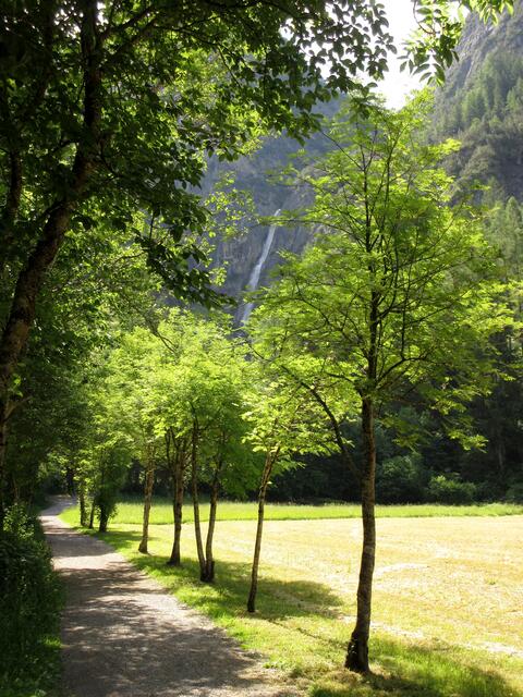 Wir hatten gar nicht so viel über die Strecke nachgelesen und waren immer wieder überrascht über die plötzlich auftauchenden Sehenswürdigkeiten. Der Wasserfall bei Hägerau.