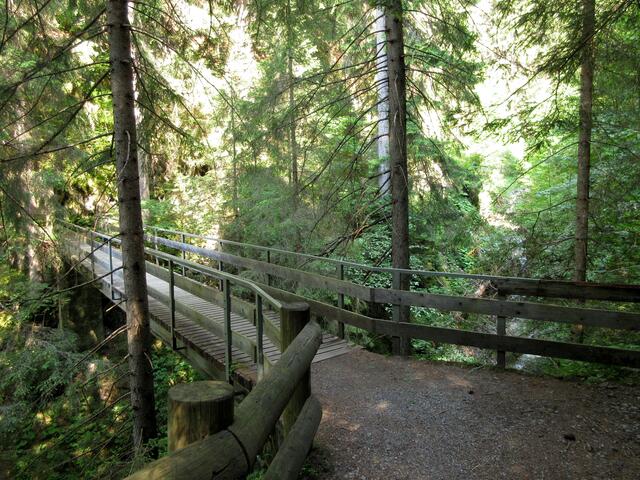 Zwischendurch wird es immer wieder wild und romantisch. Ganz überraschend. Herrlich abwechslungsreich.