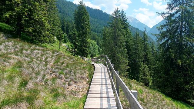 Nachdem wir die Brücke im Bengler Wald passiert hatten, trafen wir im Naturjuwel und Landschaftsschutzgebiet Schiggen, auf die Holzstege, die ein bequemes Wandern und Betrachten der Flora ermöglichen. Knabenkraut und Wollgras geben sich hier ein Stelldichein, um nur zwei zu nennen.