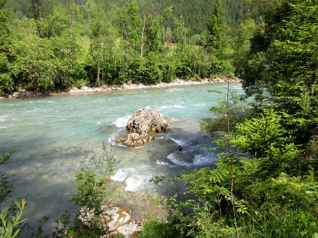 Lechblicke, auf diesem Abschnitt auch ganz besonders schön. Im nächsten Jahr geht es weiter unten auf den Baiselberg. Näheres im Kommentar.