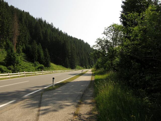 Auch so geht es zwischendurch mal, nicht schön, aber bei den Höhenwegen rechts und links einfach mal nötig.