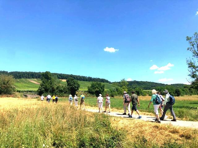 Die Wandergruppe marschiert unterhalb des Altenberges Richtung Leberbrunnen.