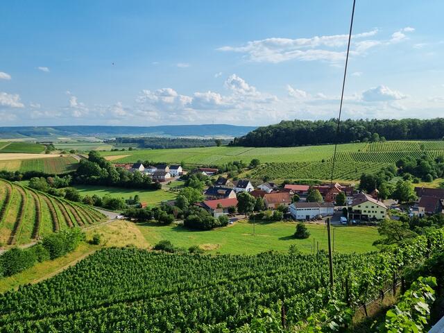 Ein Blick ins Tal von der Burg Neipperg. | Foto: Jochen Baral