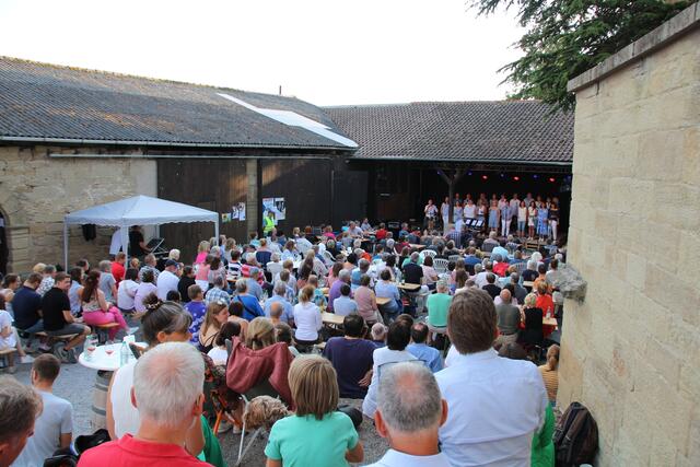 Das Open-Air-Konzert auf der Burg Neipperg mit Samuel Harfst lockte die Besucher aus nah und fern an. | Foto: Jochen Baral