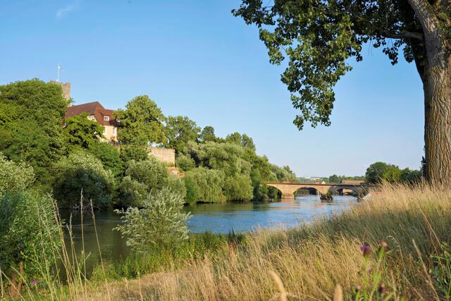 Rathausburg mit alter Neckarbrücke