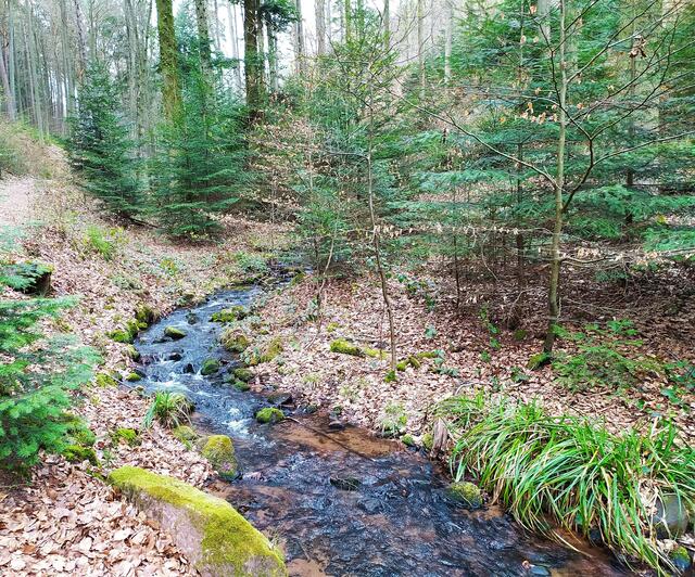 Es war so schön, hier entlang zu wandern
