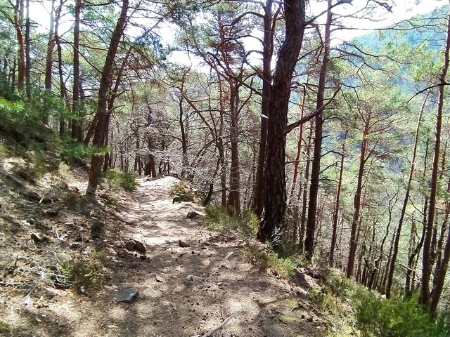 Auf tollen Pfaden geht's hinab ins St. Martiner Tal