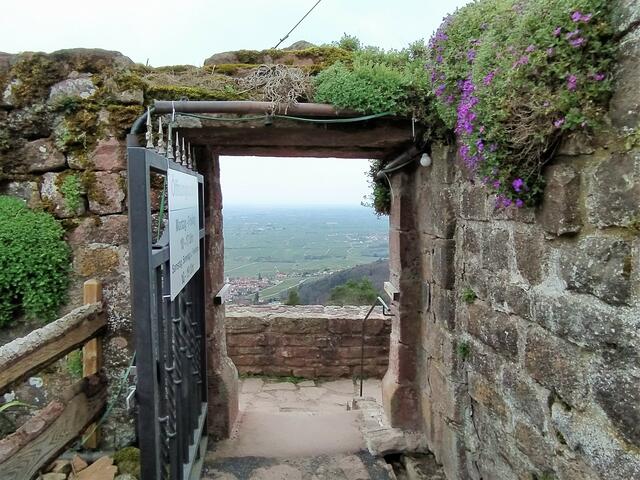 Blick durch einen Torbogen oben auf der Rietburg