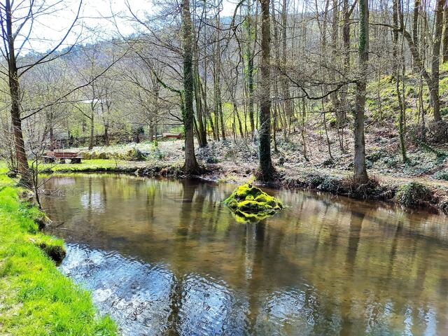 Der kleine Bellachini-Weiher liegt idyllisch im Wald