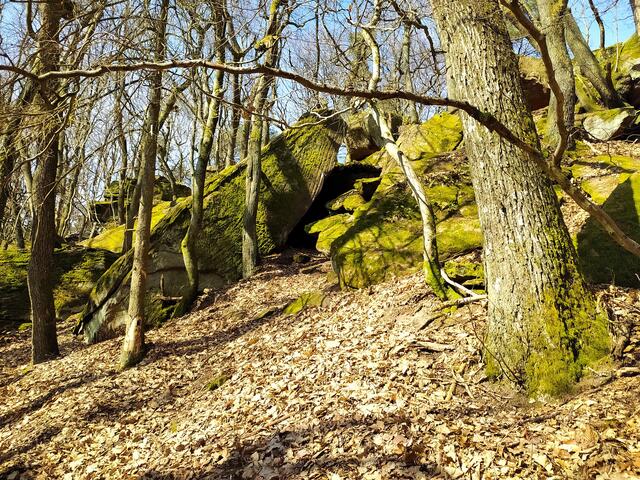 Felsenmeer - mit vielen bemoosten Felsbrocken