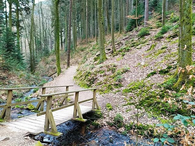 Stege wie dieser führen immer wieder auf die jeweils andere Seite des idyllischen Bächleins