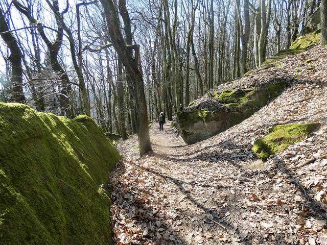 Der Pfad durchs Felsenmeer