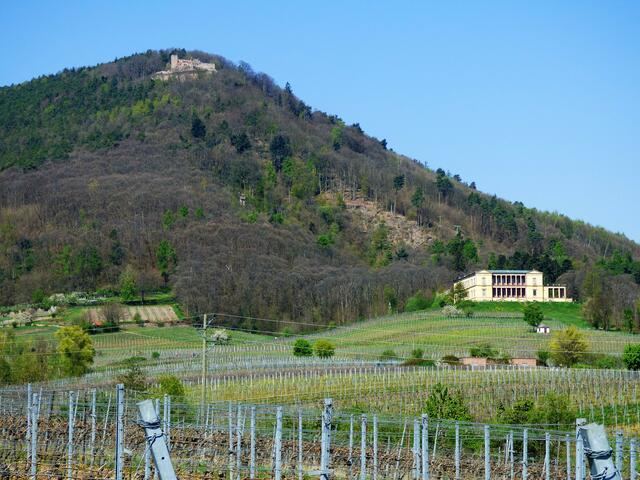 Dort oben thront die Rietburg und darunter Schloss Villa  Ludwigshöhe - Archivbild