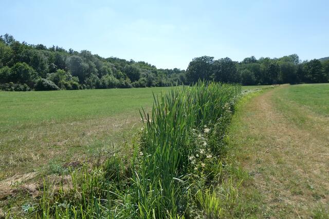 Beeindruckend lang zieht sich der Abflussbach durch die weitläufigen Wiesen.