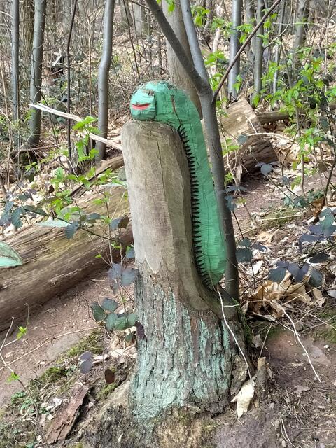 Ist das die Raupe Nimmersatt?