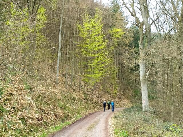 Da fing der "laaaaaange" Weg an - bis zur St. Anna Kapelle hatten wir keine Lust auf Fotos - der Weg zog sich sehr in die Länge.