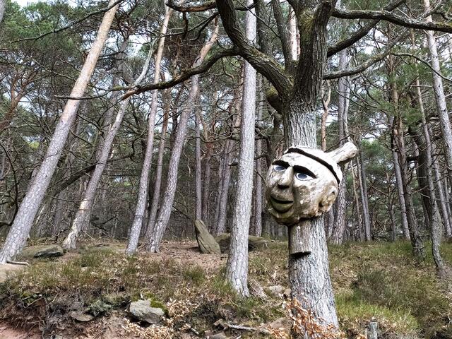 Der wilde Geselle steht im Biergarten der Trifelsblick-Hütte