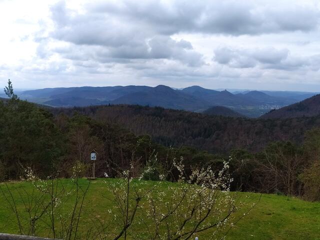 In der Ferne - ziemlich weit rechts im Bild - ist die Burg Trifels zu erkennen, die der Hütte ihren Namen gegeben hat. 