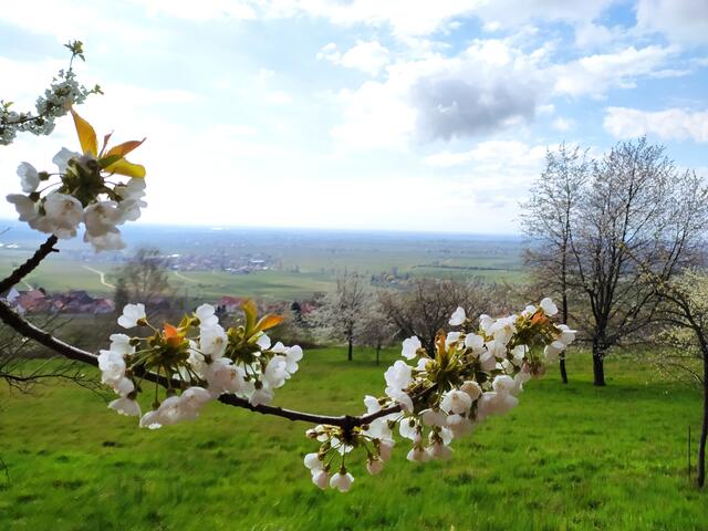 Heute leider diesig - ein Blick in die Ferne