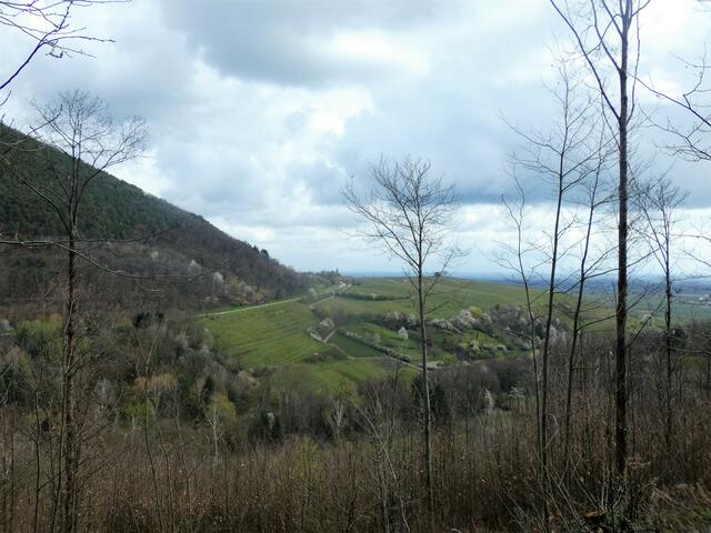 Der Blick zurück zeigt uns aber das schöne Tal.
