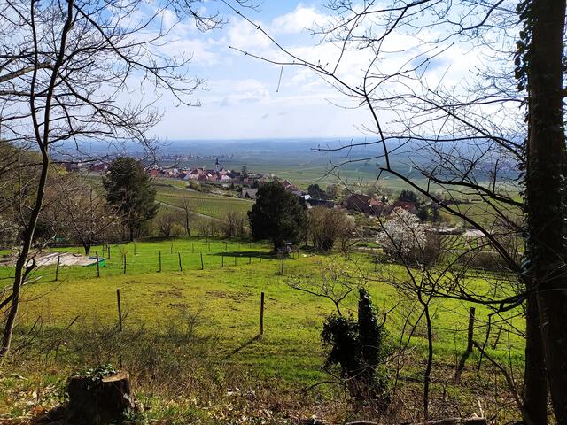 Der Blick von der Grotte ins Tal