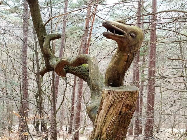 Was ist das für ein Tier? Immerhin, es lächelt uns zu und sagt "bis bald"....