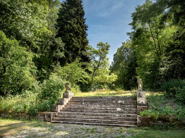 Schlosstreppe im Sommer | Foto: Rüdiger Reingräber