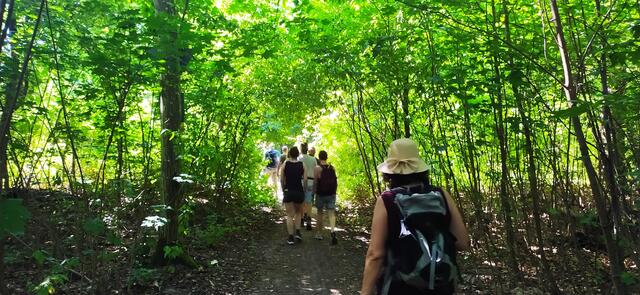 Der Wald mit seinem besonderen Licht und den angenehmen Temperaturen ist sooooo herrlich - am liebsten würden wir ewig darin weiterwandern. 