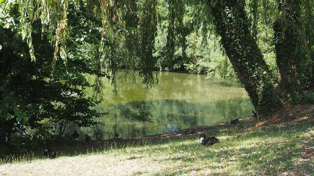 Am Stadtsee in Weinsberg | Foto: Rainer Göser