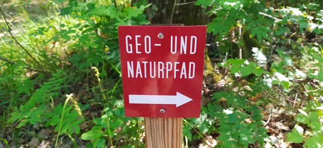 Teilweise wandern wir auf dem Geo- und Naturpfad. 