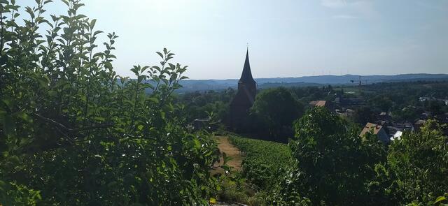 Rückblick auf die Johanneskirche und das Weinsberger Städtle. 