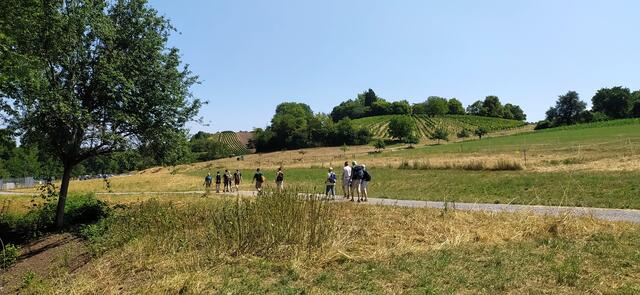 Weiter geht's - die letzten beiden Kilometer. Es ist jetzt Mittag und wirklich affenheiß 🥵🌞🥵🌞