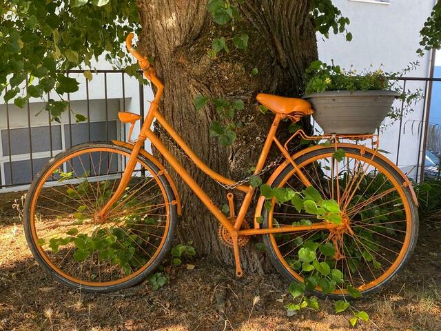 In Weinsberg gesehen | Foto: Beate Bonte